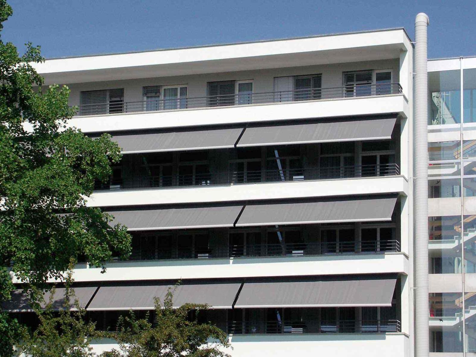 Toldo Exclusive Toldo Exclusive