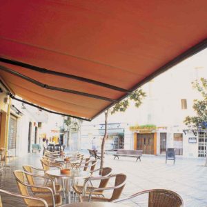 Toldo Nadesmo